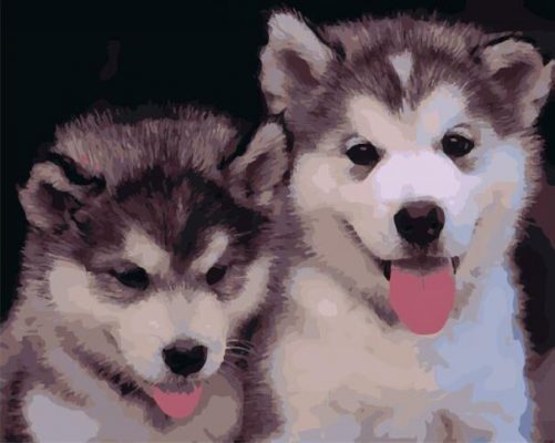 Puppies Of Husky Animals Paint By Numbers