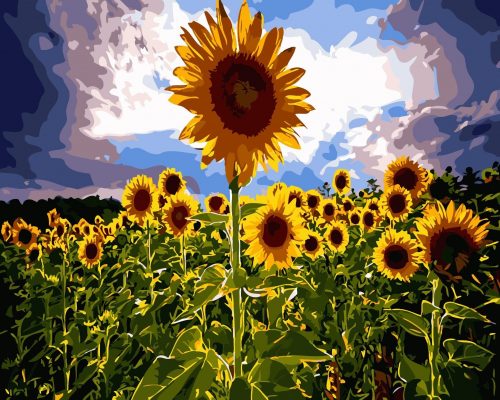 Nature Sunflowers Flowers Paint By Numbers