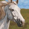 Thoroughbred Horse Animals Paint By Numbers