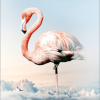 Flamingo Above Clouds Birds Paint By Numbers