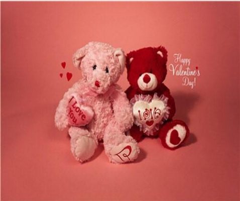 Valentine Day Puppet  Romance and Love Paint By Numbers