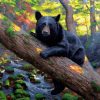 Black Bear Animals Paint By Numbers