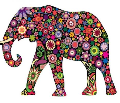 Floral Elephant Animals Paint By Numbers