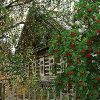 Cabin in Woods And Flowers Landscape Paint By Numbers