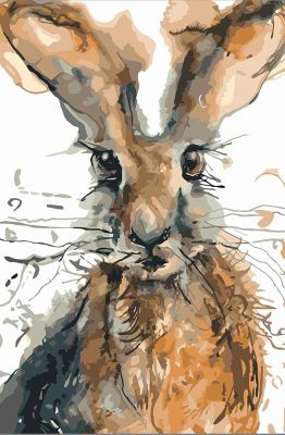 Lovely Rabbit Animals Paint By Numbers