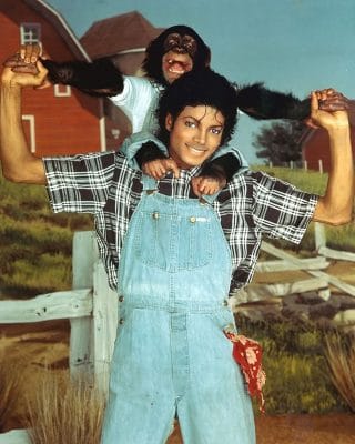 Michael Jackson And His Chimpanzee People Paint By Numbers