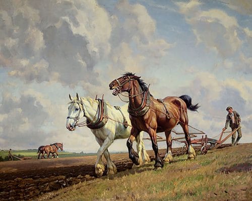 Horse Ploughing Animals Paint By Numbers