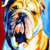 Bulldog Animals Paint By Numbers