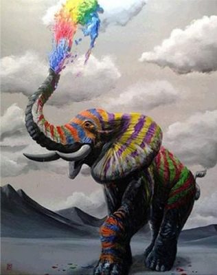 Rainbow Elephant  Animals Paint By Numbers