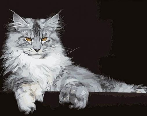 Maine Coon Cat Animals Paint By Numbers