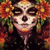 Sugar Skulls Woman People Paint By Numbers