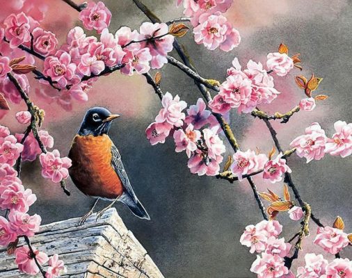 Pink Flowers and a Bird Birds Paint By Numbers