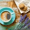 Cup of Coffee and Cakes- Still Life Paint By Numbers