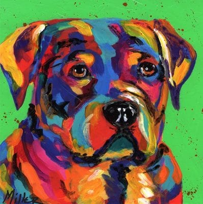 Colorful Dog Boxer Animals Paint By Numbers
