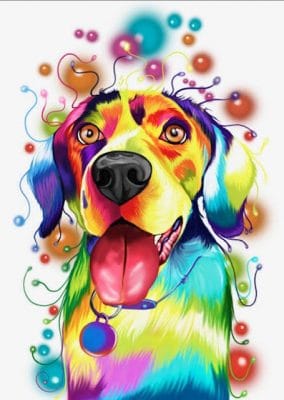 Colorful Retriever Dog Animals Paint By Numbers