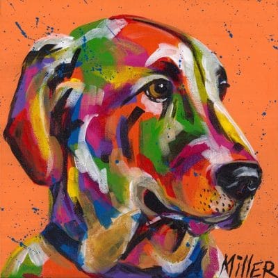 Fishing Buddy Dog Animals Paint By Numbers
