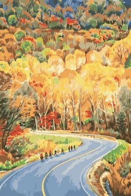 Freeway By Forest Landscape Paint By Numbers