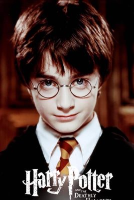 Harry James Potter People Paint By Numbers