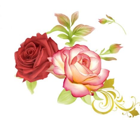 Heirloom Roses Flowers Paint By Numbers