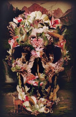 Jungle Of Flowers Skull Flowers Paint By Numbers
