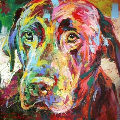 Labrador Colorful Animals Paint By Numbers