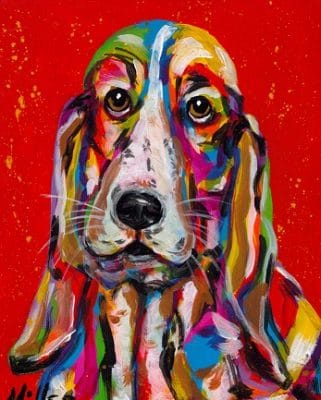Long Ears Bassett Dog Animals Paint By Numbers