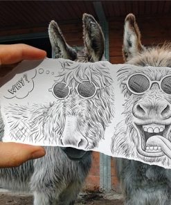 Pencil Donkeys Animals Paint By Numbers