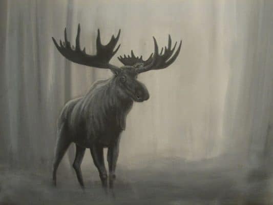 Reindeer Animals Paint By Numbers