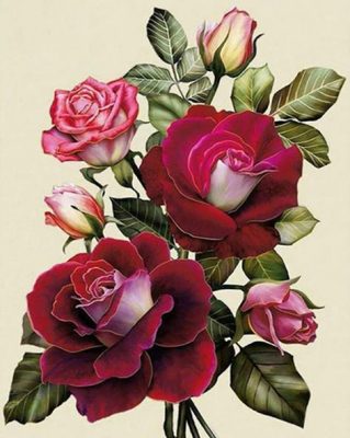 Rose Red Flower Flowers Paint By Numbers