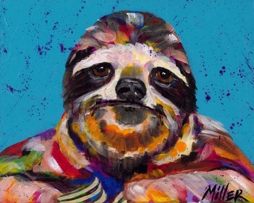 Smiling Sloth Animals Paint By Numbers