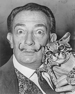 Dali And The Cat NEW Paint By Numbers