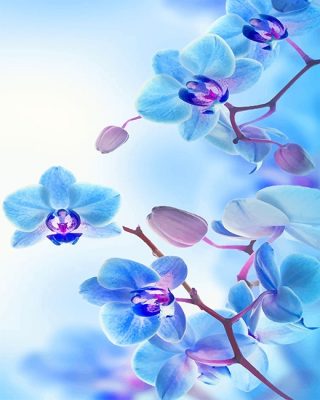 Magical Archid Flowers NEW Paint By Numbers