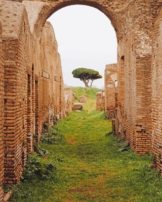 the Augusteum Italy NEW Paint By Numbers