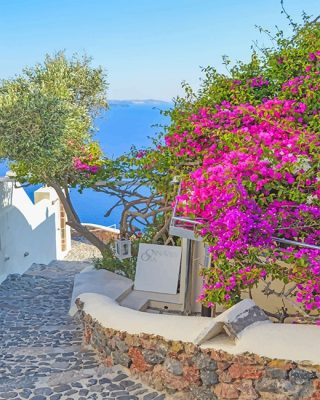 Santorini Greece Pink Flowers NEW Paint By Numbers