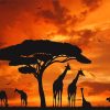 Giraffes Silhouette Sunset NEW Paint By Numbers