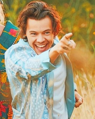 Happy Harry Styles NEW Paint By Numbers
