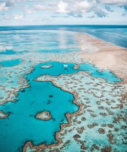 Australian Sea paint By Numbers