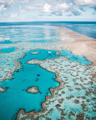 Australian Sea paint By Numbers