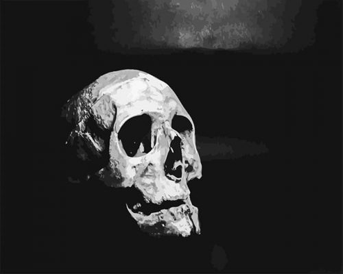 Black And White Skull NEW Paint By Numbers