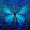 Fantasy blue butterfly paint by number