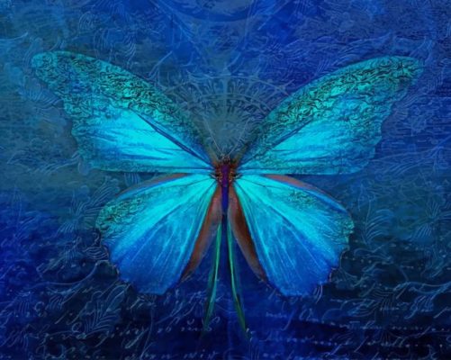 Fantasy blue butterfly paint by number