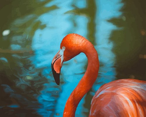 Flamingo Bird NEW Paint By Numbers