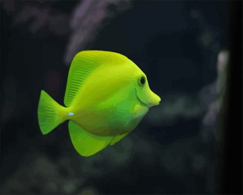 Green Fish Aquarium NEW Paint By Numbers