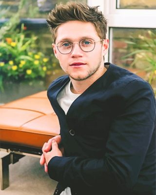Niall Horan One direction NEW Paint By Numbers