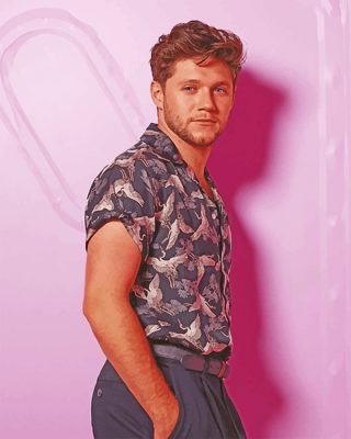 Handsome Niall Horan NEW Paint By Numbers