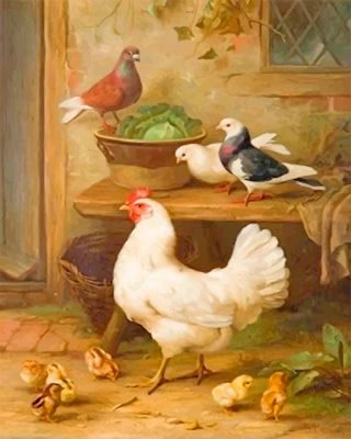 Pigeon And Chicken NEW Paint By Numbers