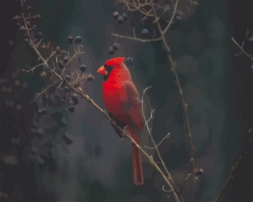 Red Cardina Bird NEW Paint By Numbers
