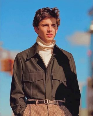 Timothee Chalamet  NEW Paint By Numbers