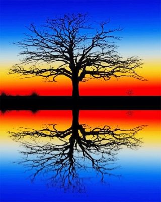 Tree Reflection In Water NEW Paint By Numbers