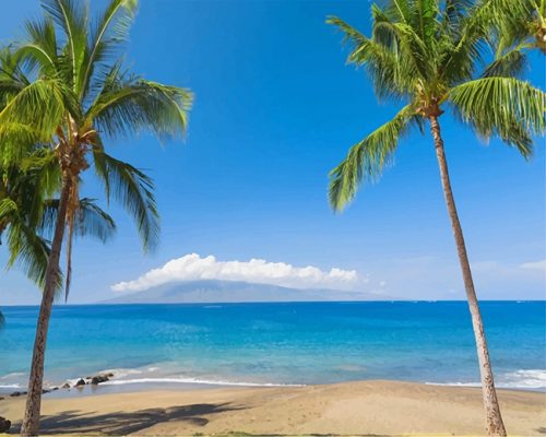 Tropics Coast Sea Palma Hawaii NEW Paint By Numbers